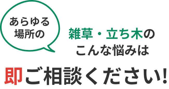 あらゆる場所の雑草・立ち木のこんな悩みは即ご相談ください!